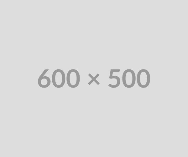 Web Development Showcase